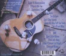John Primer: Blue Steele- Tribute To Elmore James, CD