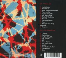 Brian Eno (geb. 1948): Nerve Net, 2 CDs