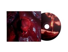 Es ist eine CD mit einem Cover in Rottönen. Eine Person ist in eine Flüssigkeit getaucht, daneben eine Hand mit fließendem Wasser.