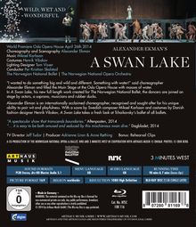 Norwegian National Ballet: A Swan Lake (Musik: Mikael Karlsson), Blu-ray Disc