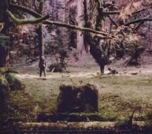 Wolves In The Throne Room: Celestial Lineage, CD