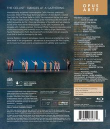 The Royal Ballet: The Cellist / Dances at a Gathering, Blu-ray Disc