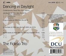 Fidelio Trio - Dancing in Daylight, CD