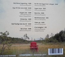 Sofia Pettersson &amp; Petter Bergander: Det Liknar Ingenting, CD