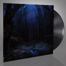 Woods Of Desolation: Torn Beyond Reason (Black Vinyl) (Reissue), LP