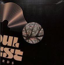 Text: "SOUL JEST RECORDS". 
Ein Logo mit wellenförmigem Muster links und einem gemusterten Kreis rechts.