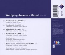 Rückansicht vergrößern