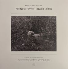 Logo mit dem Text "MOVING MOUNTAINS: PRUNING OF THE LOWER LIMBS". Darunter eine Schwarz-Weiß-Fotografie von Felsen im Gras.