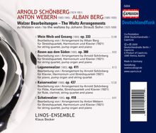 Johann Strauss II (1825-1899): Walzer-Transkriptionen, CD