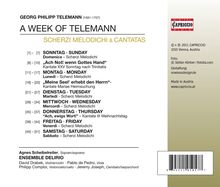 Georg Philipp Telemann (1681-1767): Kantaten &amp; Scherzi Melodichi, CD