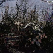 Animal Collective: Here Comes The Indian, LP