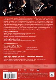 Rückansicht vergrößern