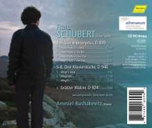 Franz Schubert (1797-1828): Impromptus D.899 Nr.1-4, CD