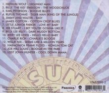 Sun blues-sun records col, CD