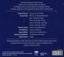Peter Steiner - Binary Star (Musik für Posaune &amp; Orgel), CD