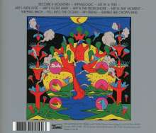 Dan Deacon: Mystic Familiar, CD