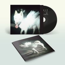 Auf CD: "DOG (Call Me If You Get Lost)". Ein unscharfer weißer Hund mit Flügeln auf Cover und Beilage.