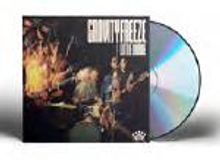 Text: "Groovy Freeze". Design einer Band beim Performen, CD daneben.