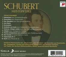 Franz Schubert (1797-1828): Schubert - Meisterwerke, CD