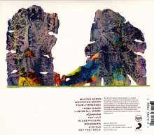 Grizzly Bear: Painted Ruins, CD