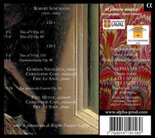 Robert Schumann (1810-1856): Klavierwerke &amp; klavierbegleitete Kammermusik Vol.9, 2 CDs