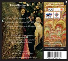 Johann Sebastian Bach (1685-1750): Messen BWV 233 &amp; 236 (Lutherische Messen), CD