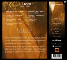 Johann Sebastian Bach (1685-1750): Motetten BWV 225-230, CD