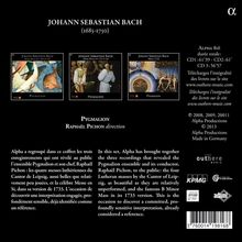 Rückansicht vergrößern