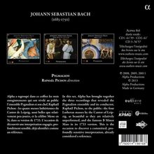 Johann Sebastian Bach (1685-1750): Missae Breves BWV 232-236, 3 CDs