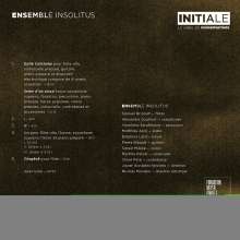 Nicolas Mondon (geb. 1980): Kammermusik "Bronze Battu En Herbes", CD