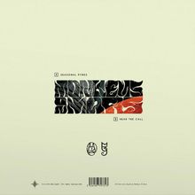 A: Seasonal Pyres, B: Hear the Call. Verzerrter, abstrakter Text in zwei Farben und zwei Symbolen darunter.