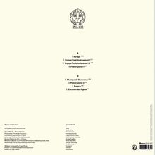 Trackliste: A: Vertigo, Voyage Pentatonique part 1 & 2, Pianorgasme 1. B: Musique de Bienvenue, Pianorgasme 2, Source, Encontro das Aguas. Oben ist ein Logo mit dem Text "Flying Lions Productions".