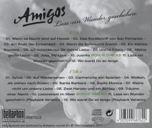 Die Amigos: Lass ein Wunder geschehen, 2 CDs