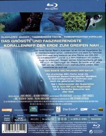 Das Great Barrier Reef - Naturwunder der Superlative (Blu-ray), Blu-ray Disc