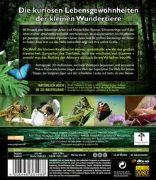 Big Bugs 3D - Kleine Krabbler ganz groß (3D Blu-ray), Blu-ray Disc