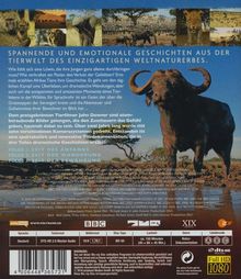 Serengeti (2019) (Blu-ray), Blu-ray Disc