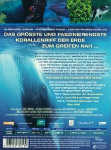 Das Great Barrier Reef - Naturwunder der Superlative, DVD