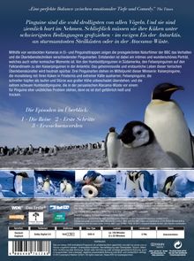 Pinguine Hautnah, DVD