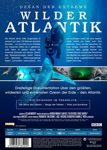 Rückansicht vergrößern