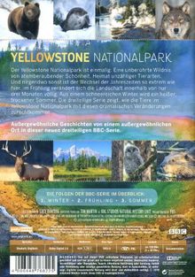 Yellowstone Nationalpark: Winter - Frühling - Sommer, DVD