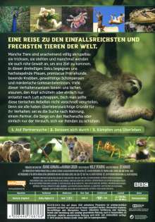 Tierische Rebellen, DVD