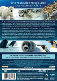 Frozen Planet - Eisige Welten 2: Leben auf dünnem Eis, 2 DVDs