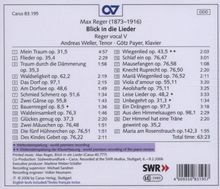 Max Reger (1873-1916): Reger vocal V - Blick in die Lieder (Klavierlieder), CD