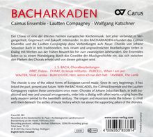 Rückansicht vergrößern