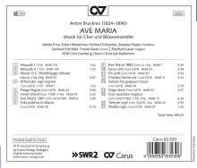 Anton Bruckner (1824-1896): Geistliche Musik für Chor &amp; Bläserensemble "Ave Maria", CD