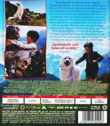 Sebastian und die Feuerretter (Blu-ray), Blu-ray Disc