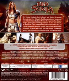"Red Sonja." Beschreibung der Handlung: Eine Kriegerin plant mit Verbündeten die Flucht aus Gladiator-Arenen. Oben kämpferische Frau.