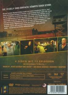 Prison Break Season 3, 4 DVDs