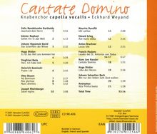 Capella Vocalis - Cantate Domino, CD