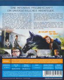 Ostwind (Blu-ray), Blu-ray Disc
